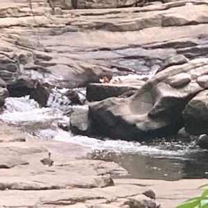 Meet your Posher, Patti